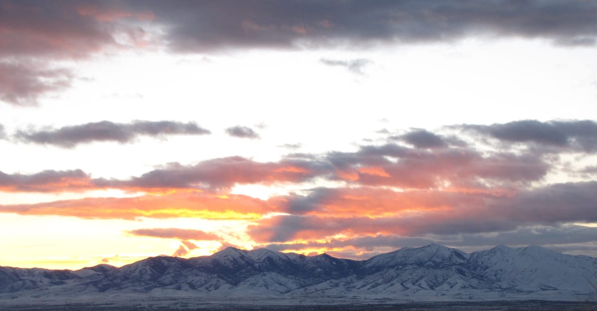 Digest — December 2025